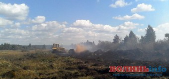 На Волині за вихідні загасили пожежу на 12 гектарах торф’яників
