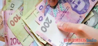 Скільки виділять з міського бюджету на підтримку громадських ініціатив у Луцьку