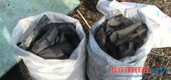 Волинянина затримали за незаконне виробництво вугілля у сусідній області