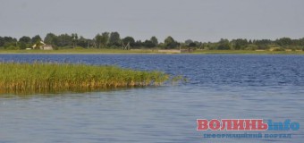 Депутати наполягають, щоб у працівника СБУ з Луцька забрали землю біля Пісочного