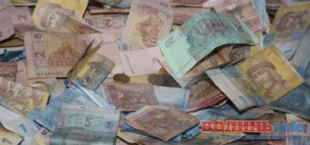 На Волині жінка видурювала кошти нібито на пожертву бійцям АТО