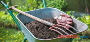 Волинянин ледь не настромив на вила міліціонера