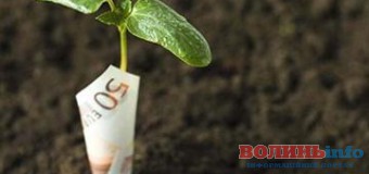 На Волині зросла плата за користування землею
