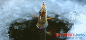 Назвали місця, де не можна буде рибалити з 1 листопада на Волині