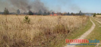 Під Луцьком грибники спалили кілька гектарів лісу. ФОТО