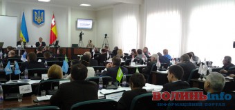 Депутати Луцької міськради: хто прогулює сесії і приховує декларації. ІНФОГРАФІКА