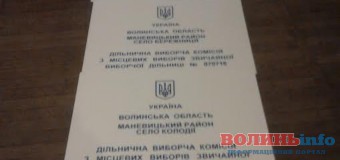 На Волині 5 дільничих виборчих комісій ще навіть не почали підготовку до виборів