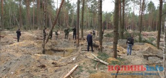 Волиняни запропонували своє вирішення “бурштинової проблеми”