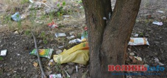 Лучани скаржаться на захаращену територію біля школи