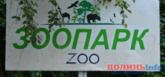 Луцький зоопарк буде вдячним за фінансову допомогу