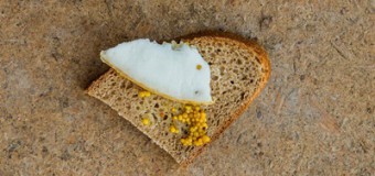 Рослинну олію краще замінити салом – вчені