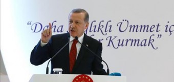 Ердоган про збитий Су-24: Роздувати не будемо