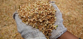 Україна хоче замінити Росію на турецькому ринку