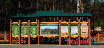 На Волині лісівники готові перекривати дороги, аби залишити на посаді свого директора