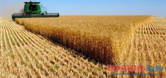 На Маневиччині “похвалилися” залученням інвестицій у агросектор