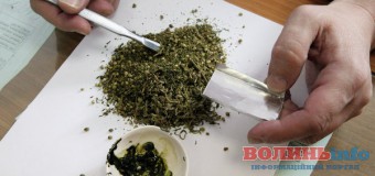 Лучанин зберігав марихуану в “підсобці”