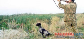 Волинянина підстрелили на полюванні