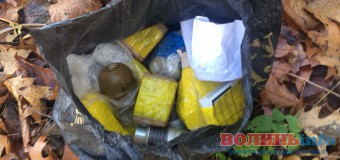 Поблизу Луцька виявили схованку боєприпрасів