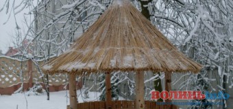 Лучан закликають робити годівнички птахам