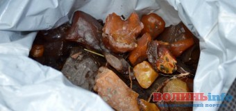 Волинські прикордонники знайшли контрафактний бурштин