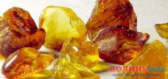 На Волині обіцяють карати слідчих, які провалили справи про бурштин