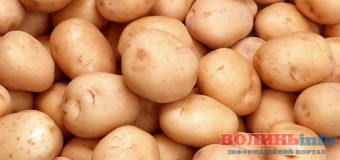 На Волині зібрали понад 2 тонни продуктів бійцям