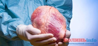 Медики запустили серце через сім годин після його зупинки