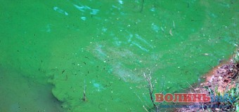 У Кривому Розі річка стала яскраво-зеленого кольору.ФОТО