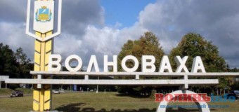 У Волновасі отримали допомогу з Луцька