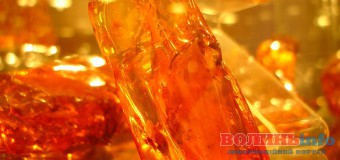 На Волині знову спіймали бурштинокопачів.ФОТО