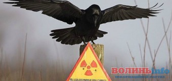 Волинська виставка про Чорнобиль вразила міжнародних експертів