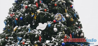 У столиці України встановили головну ялинку