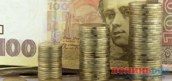 Малозабезпеченим лучанам надали грошову допомогу
