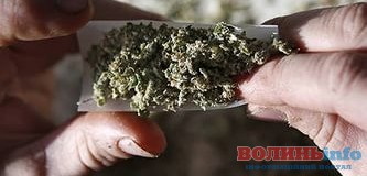 У волинянина вдома поліцейські знайшли канабіс