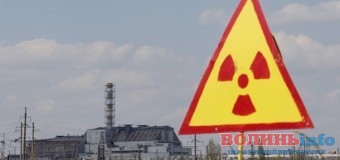 У Чорнобилі збираються створити біосферний заповідник