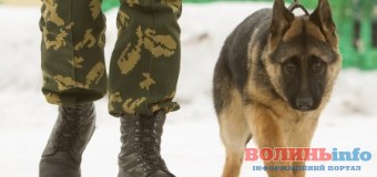 На Ягодині затримали чоловіка з наркотиками