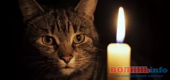 Де сьогодні в Луцьку не буде світла