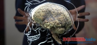 Вчені навчилися читати думки