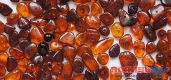 Волинянин хотів у панчохах перевезти за кордон 5 кг бурштину