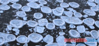 На річках Фінляндії утворився лід у вигляді млинців. ФОТО