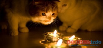 Волинян закликають вимкнути світло на одну годину