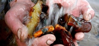 На Волині виявили ще два місця незаконного видобутку бурштину