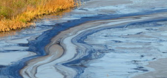 У водоймах Ківерець рівень забруднюючих речовин понад норму. ВІДЕО