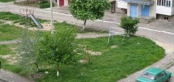 Лучанка уже 12 років добивається землі