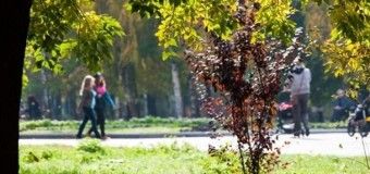Де у Луцьку хочуть створити нові сквери?