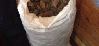 На Рівненщині СБУ вилучила понад 100 кг бурштину. ВІДЕО