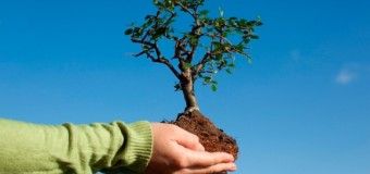 Лучан закликають долучитись до всесвітньої акції