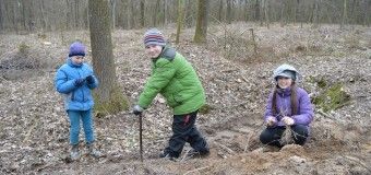 На Волині садять ліс навіть другокласники. ФОТО