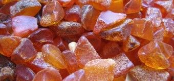 Гунчик розповів, як можна вирішити проблему копання бурштину