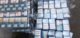 На Волині прикордонні собаки знайшли 7 тисяч пачок сигарет